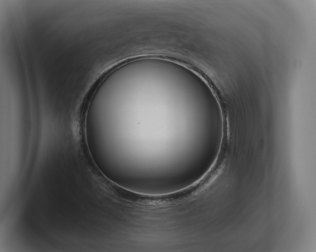 X0000102311501200808011412