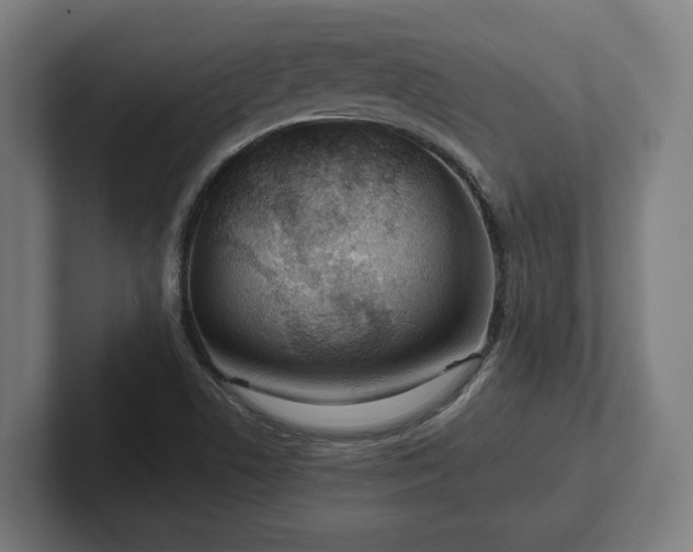 X0000102311506200808011412