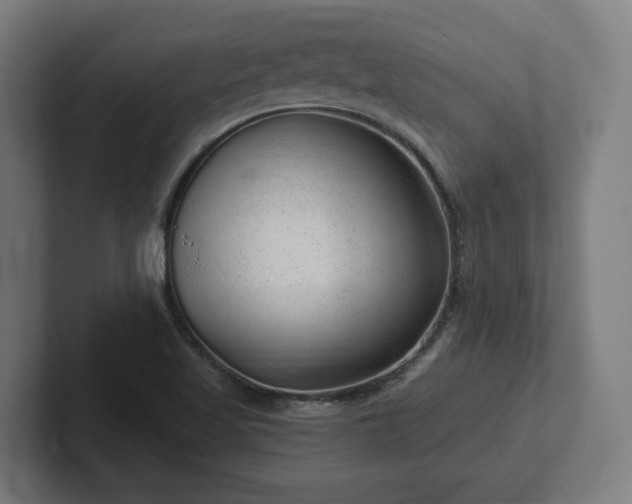 X0000102311509200808011412