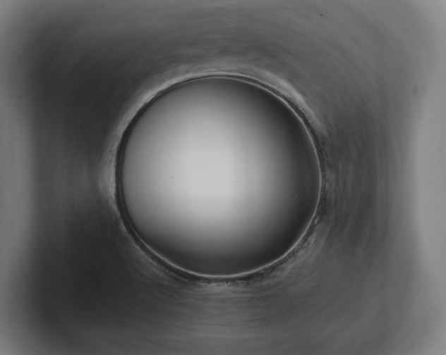 X0000102311512200808011412