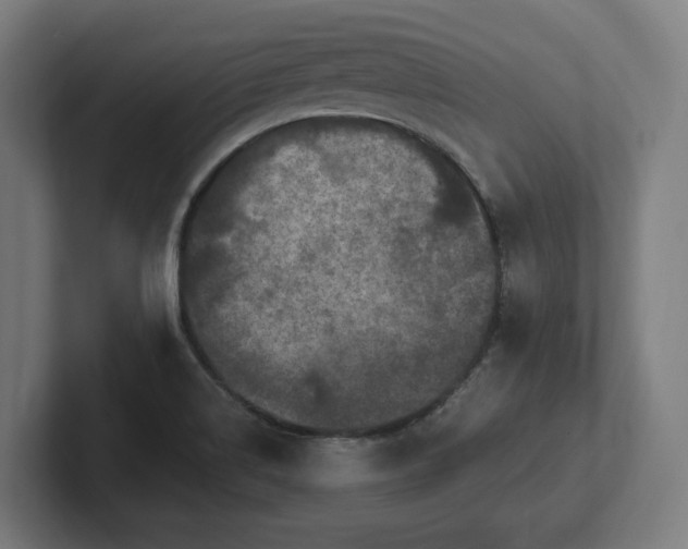 X0000102311514200808011412