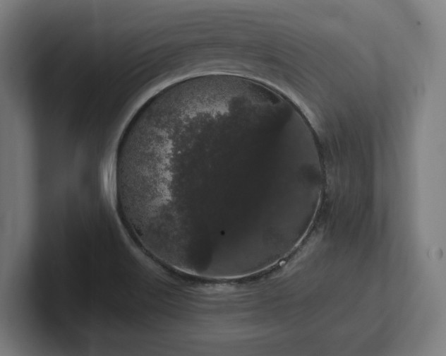 X0000102311515200808011412