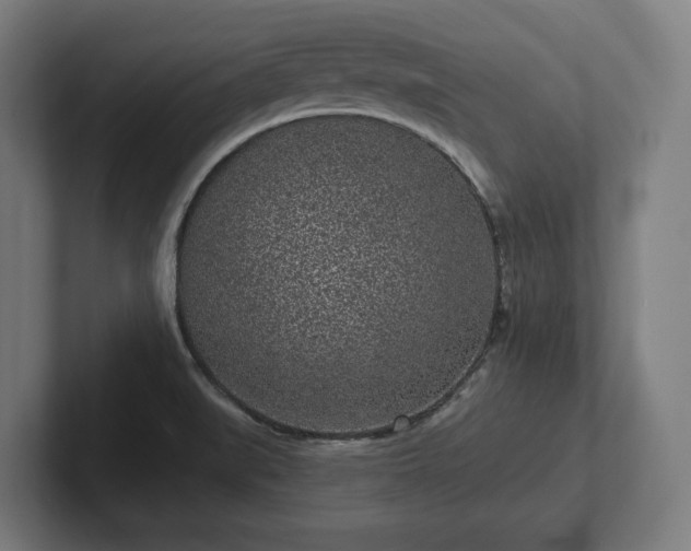 X0000102311519200808011412