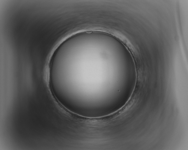 X0000102311520200808011412