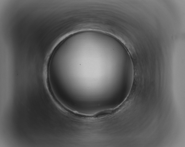 X0000102311523200808011412