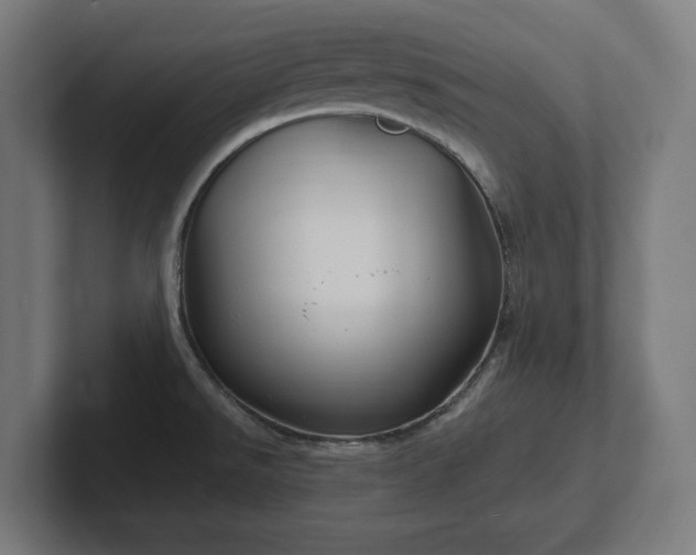 X0000102311526200808011412