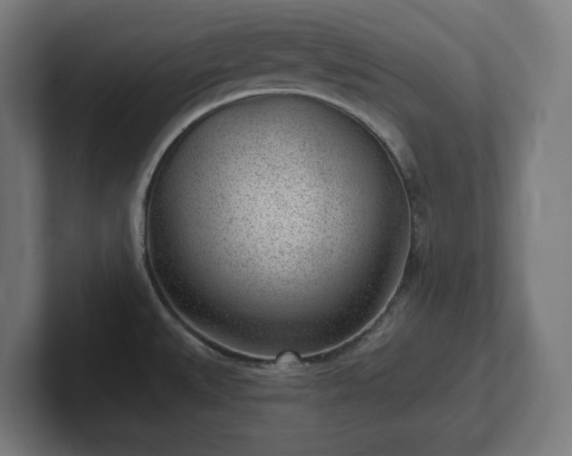 X0000102311527200808011412