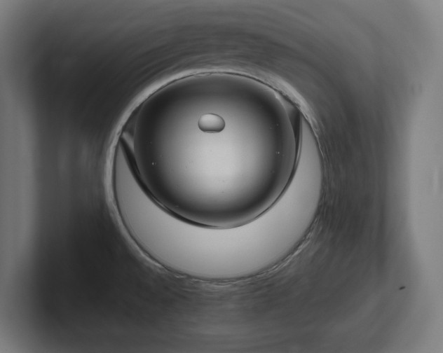 X0000102311528200808011412