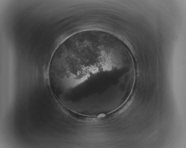 X0000102311529200808011412