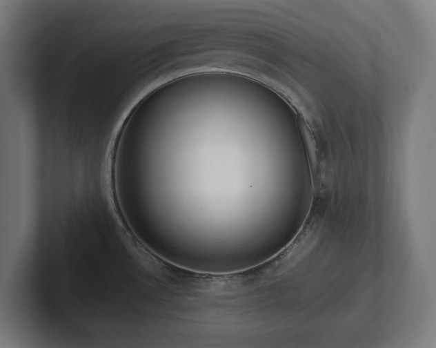 X0000102311530200808011412