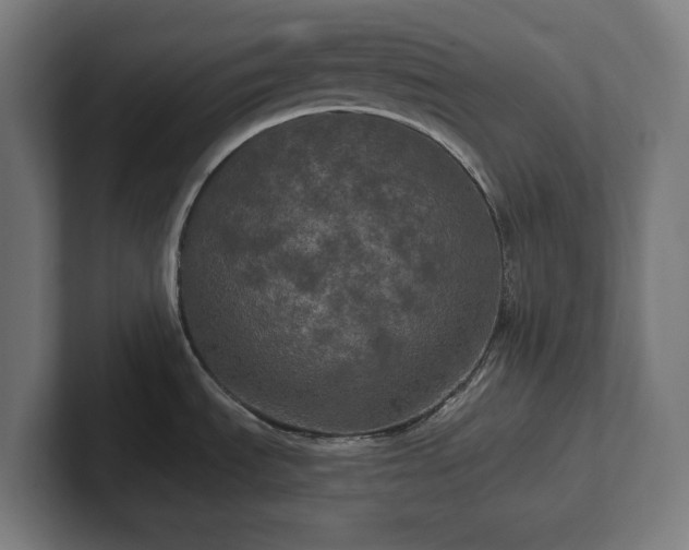 X0000102311535200808011413