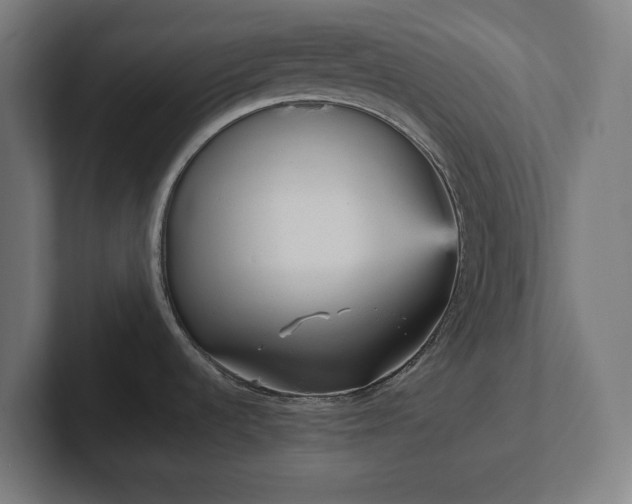 X0000102311536200808011413