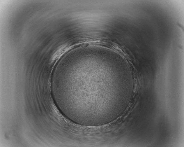 X0000102310002200808011614