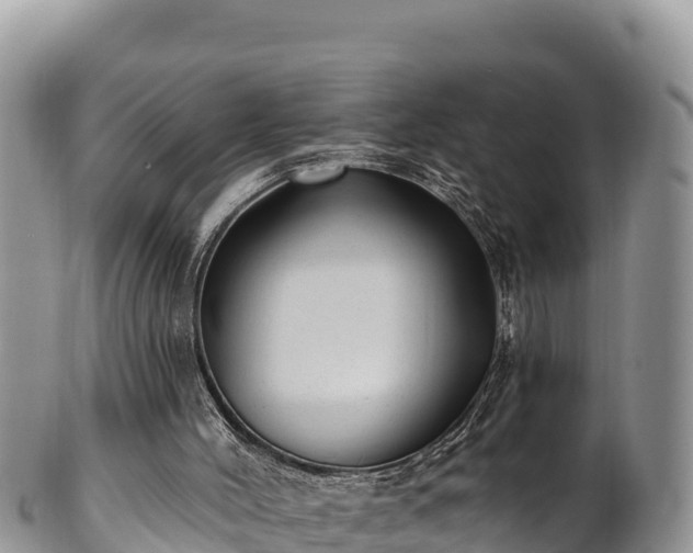 X0000102310004200808011614