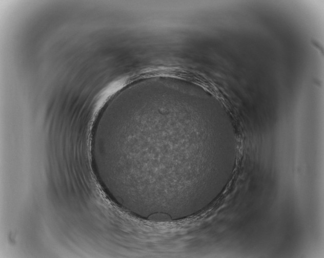 X0000102310006200808011614