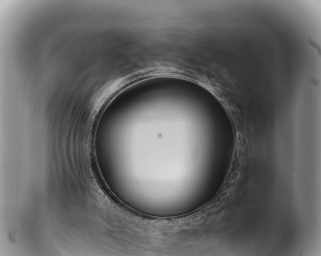 X0000102310007200808011614