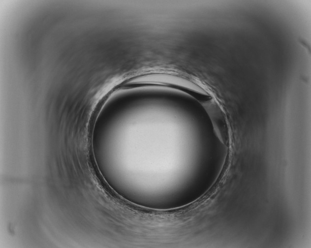 X0000102310008200808011614