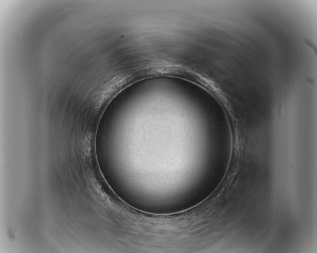 X0000102310010200808011614