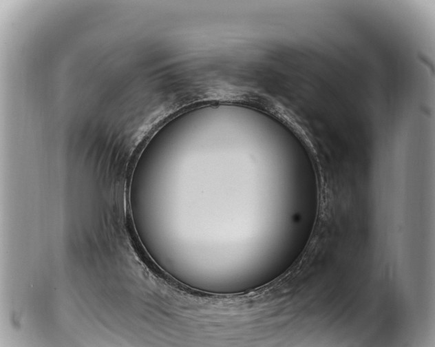 X0000102310011200808011614