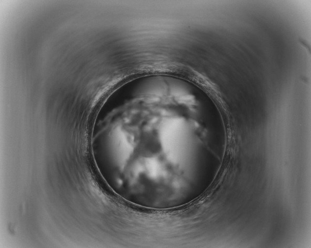 X0000102310012200808011614