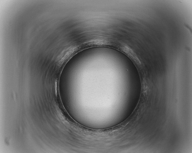 X0000102310014200808011614