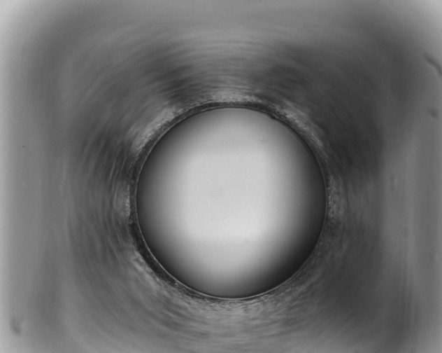 X0000102310015200808011614