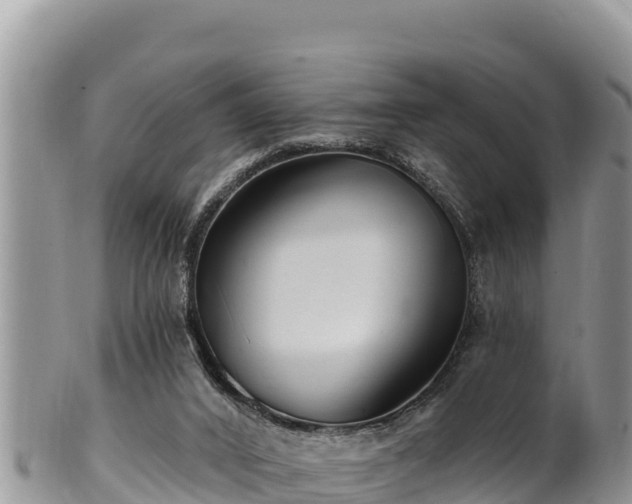 X0000102310016200808011614