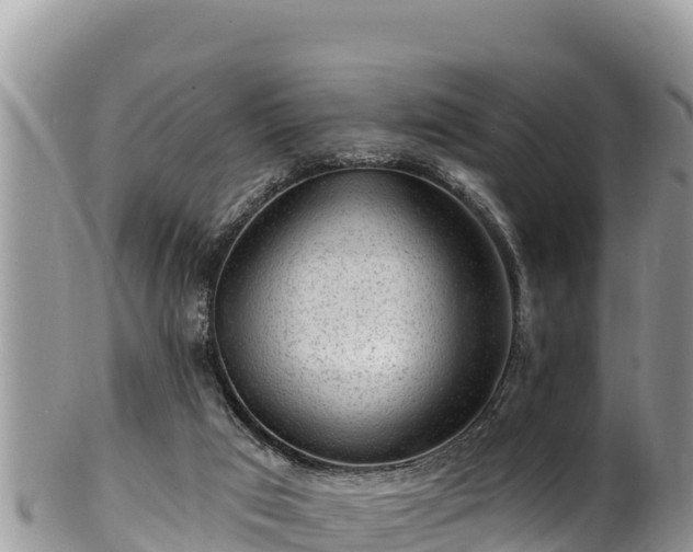 X0000102310017200808011614