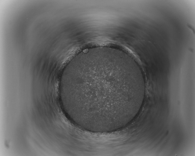 X0000102310018200808011614