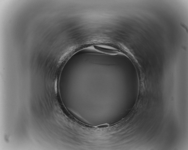 X0000102310019200808011614