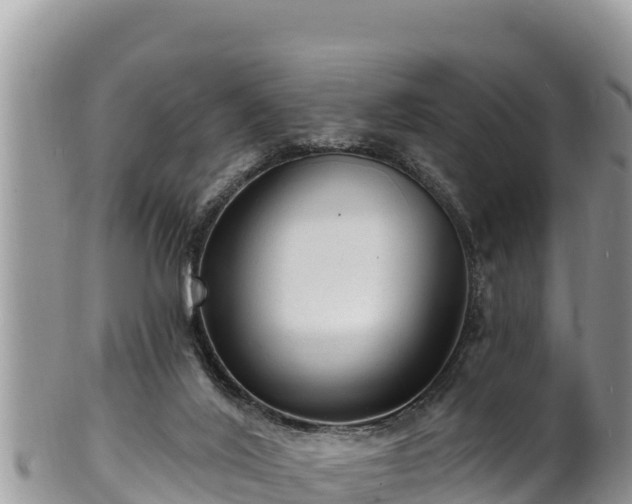 X0000102310020200808011614