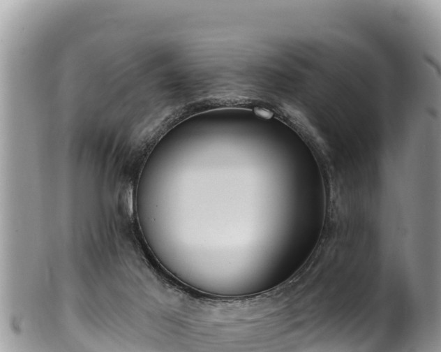 X0000102310021200808011614