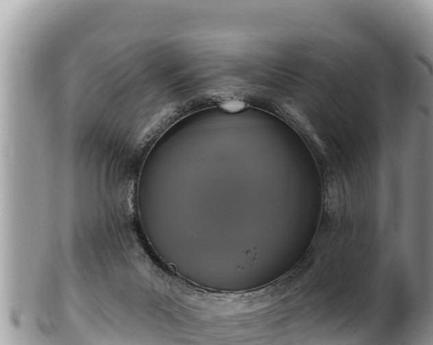 X0000102310023200808011614