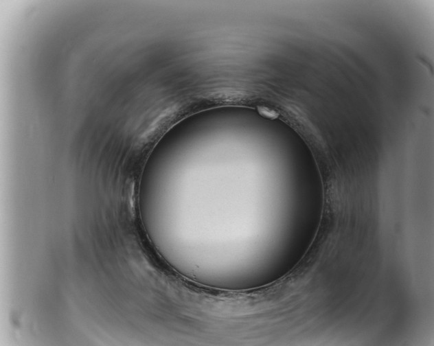 X0000102310024200808011614