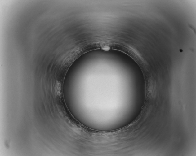 X0000102310025200808011614