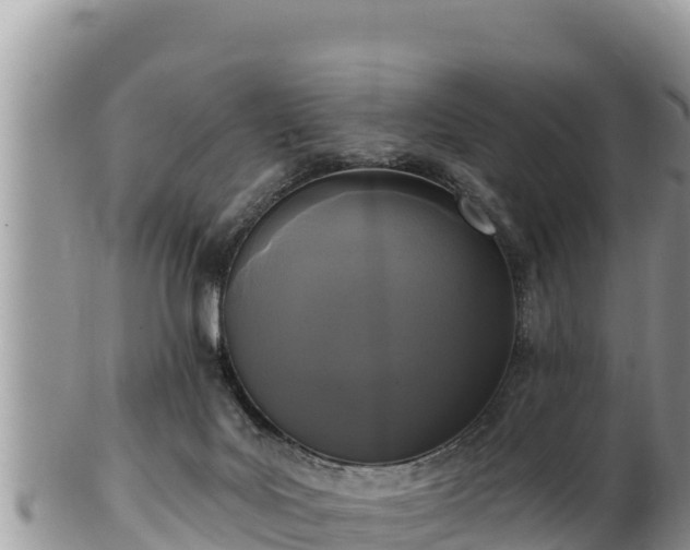 X0000102310027200808011614