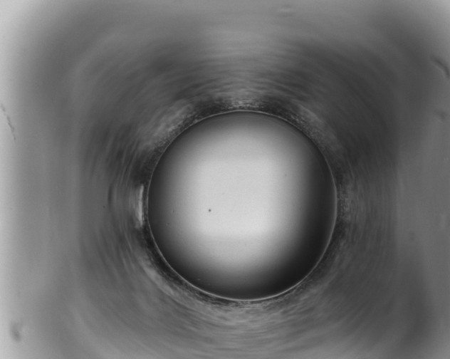 X0000102310028200808011614