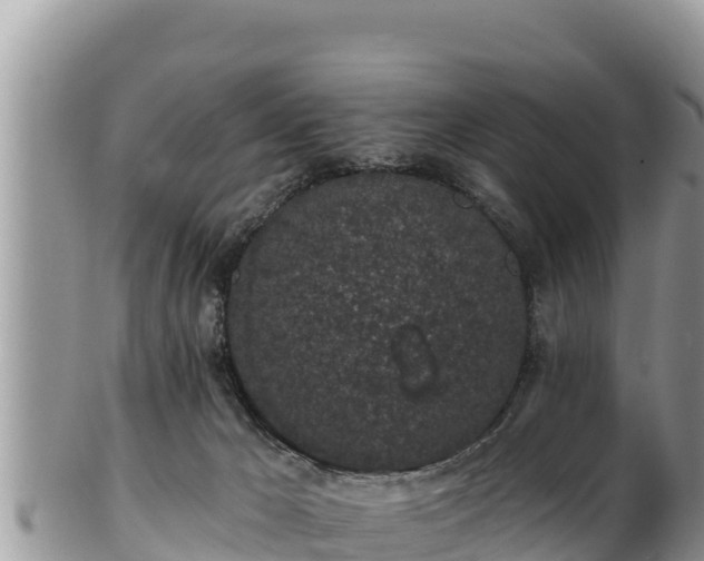 X0000102310029200808011614