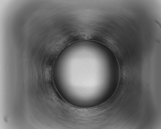 X0000102310030200808011614