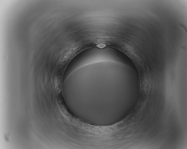 X0000102310031200808011614