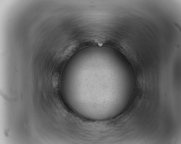 X0000102310032200808011614