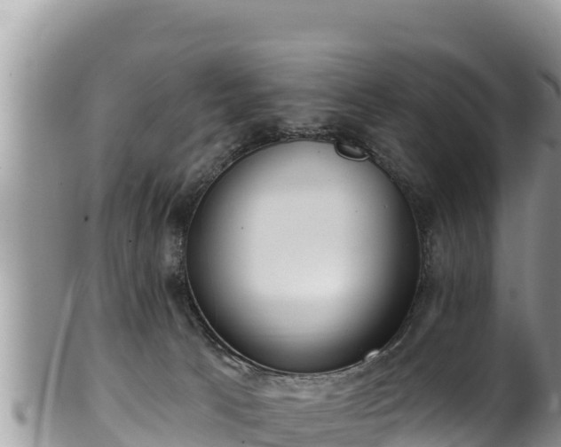 X0000102310033200808011613