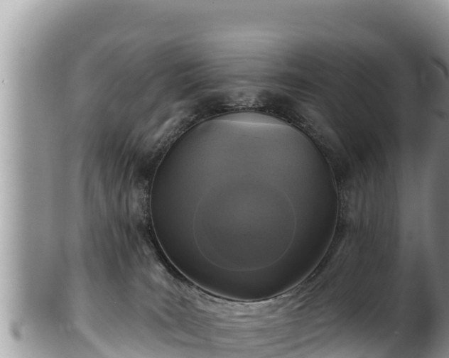 X0000102310035200808011613