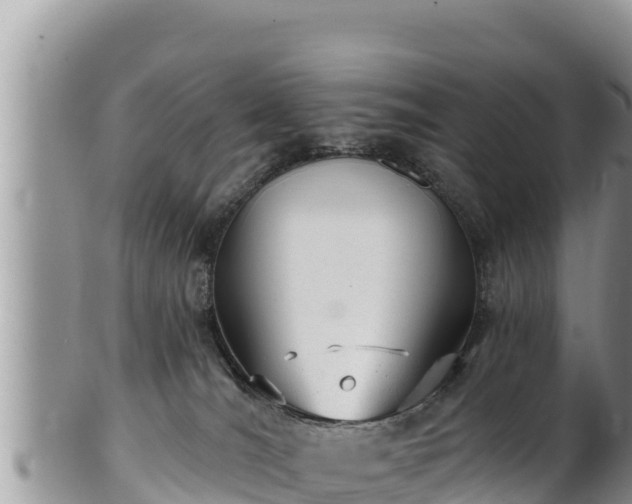 X0000102310036200808011613