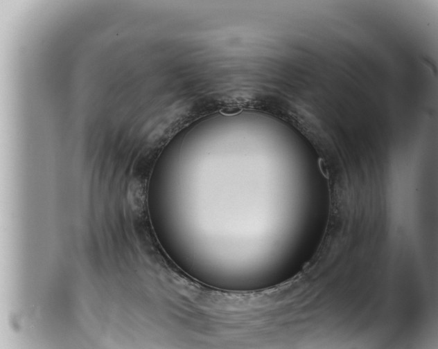 X0000102310037200808011613