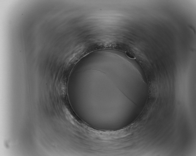 X0000102310039200808011613