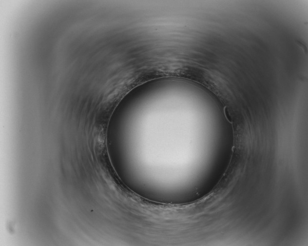 X0000102310040200808011613