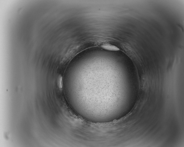 X0000102310041200808011613