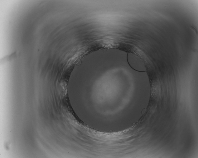 X0000102310043200808011613