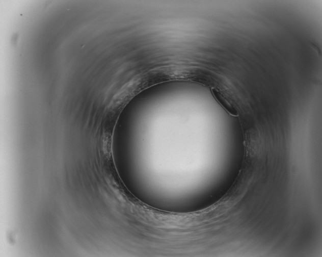 X0000102310044200808011613